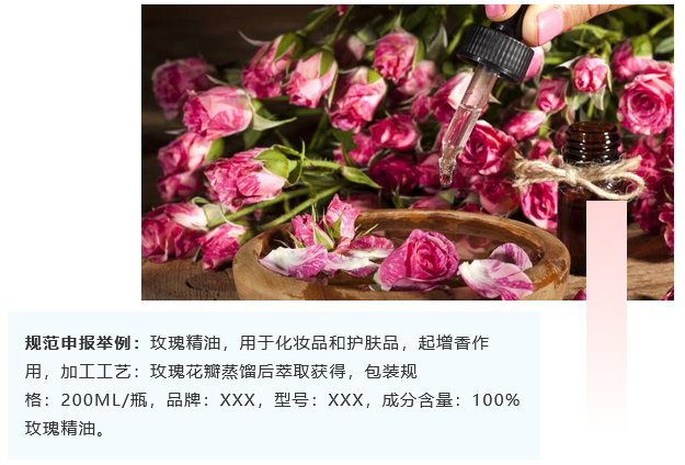 <a href='http://www.xsjon.cn' title='危險品海運' >危險品海運</a>