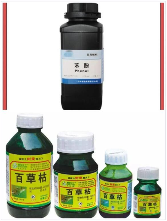 <a href='http://www.xsjon.cn' title='國際貨運代理' >國際貨運代理</a>